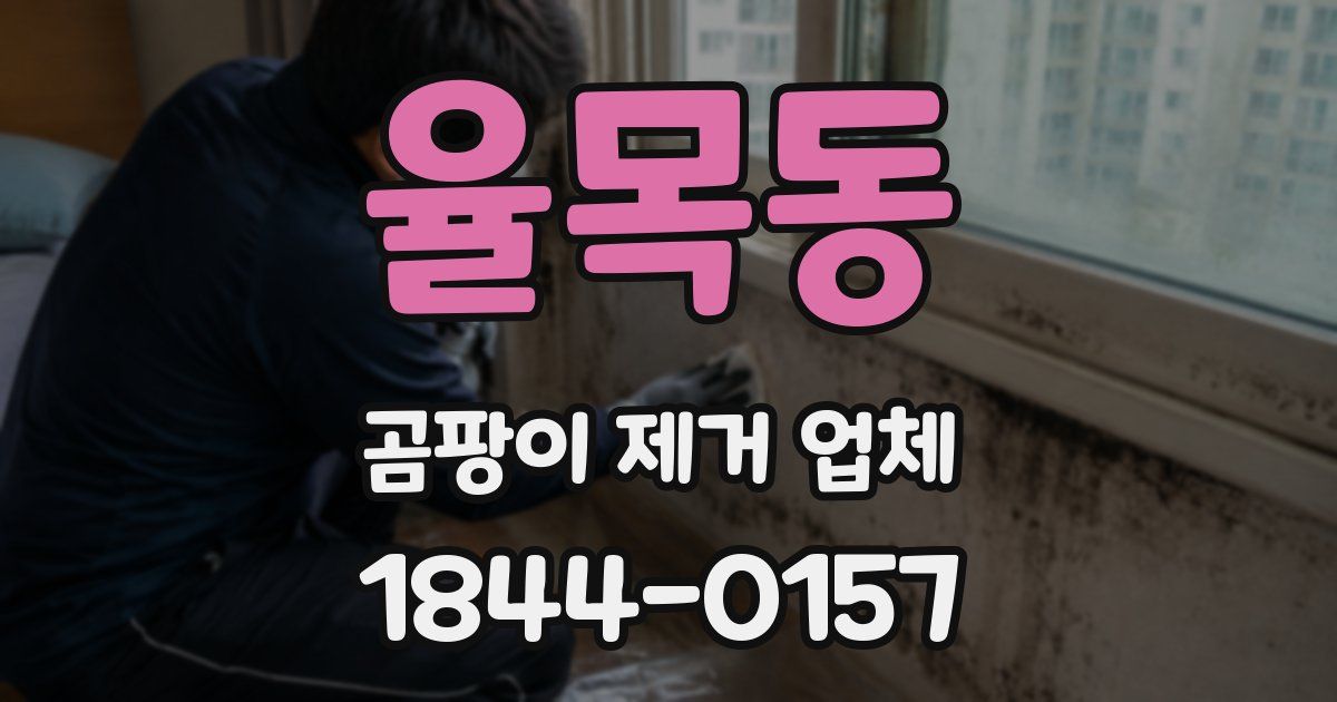율목동 곰팡이 제거 업체