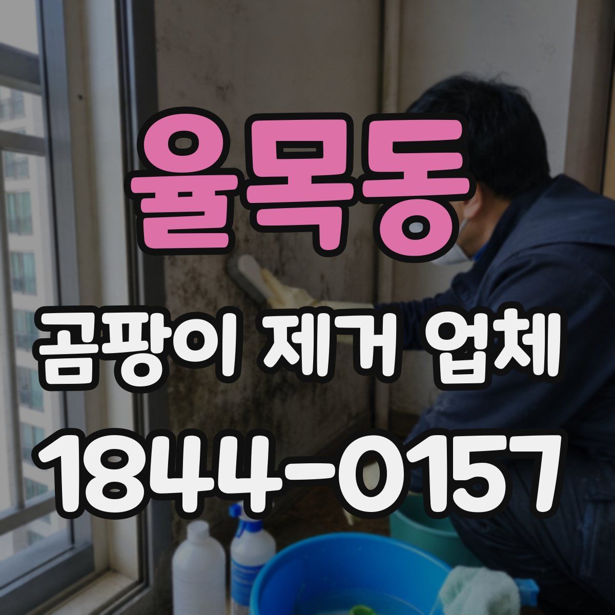 율목동 곰팡이 제거 업체