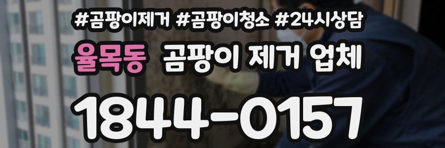 율목동 곰팡이 제거 업체