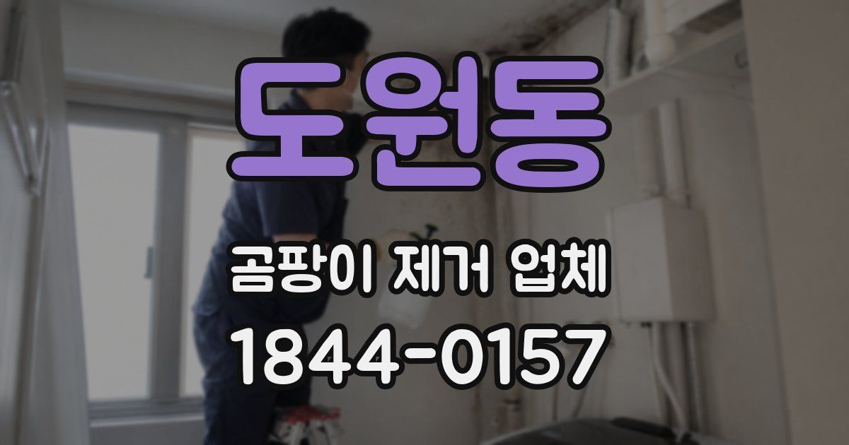 도원동 곰팡이 제거 업체