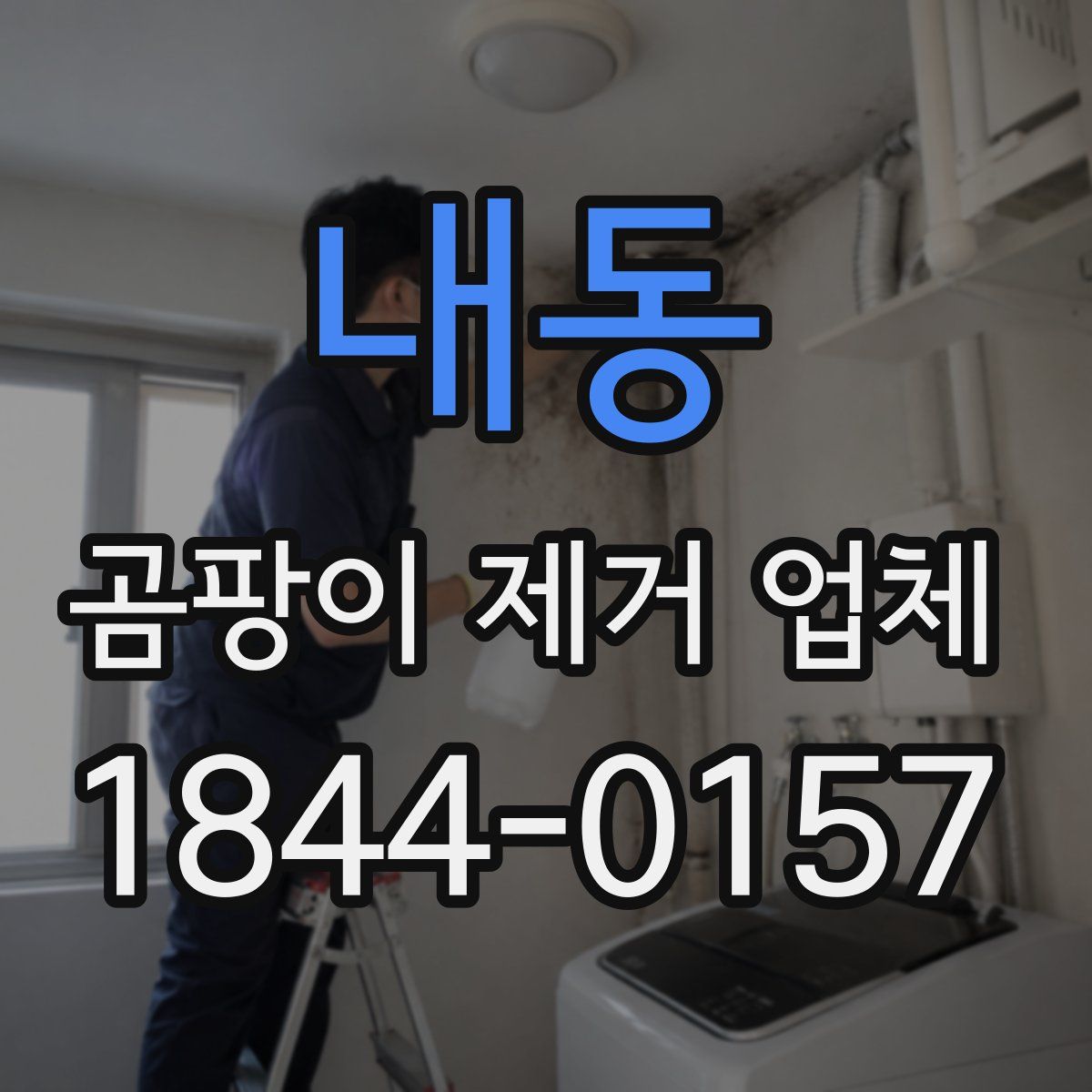 내동 곰팡이 제거 업체