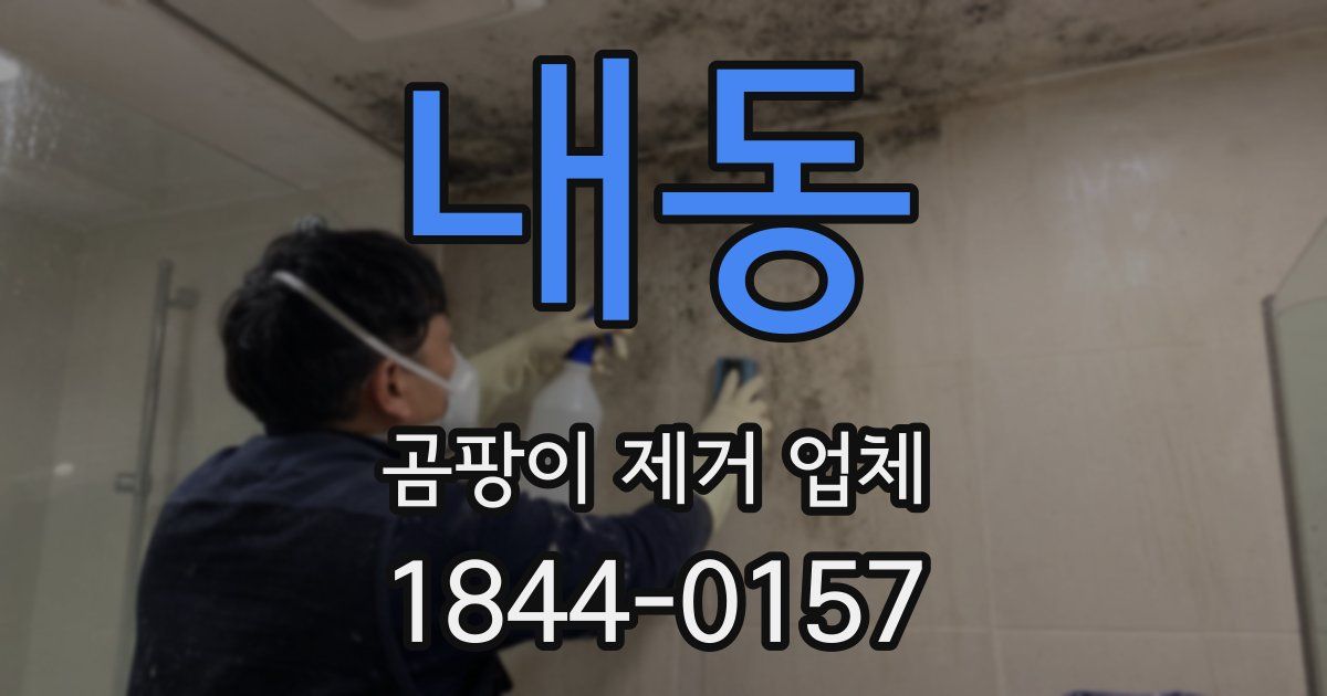 내동 곰팡이 제거 업체