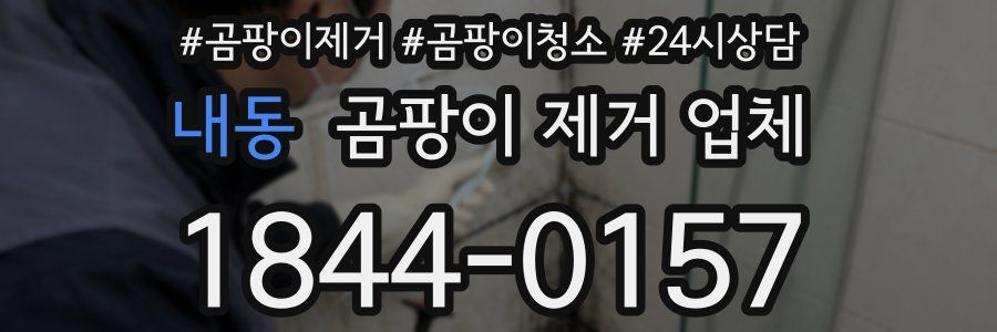 내동 곰팡이 제거 업체