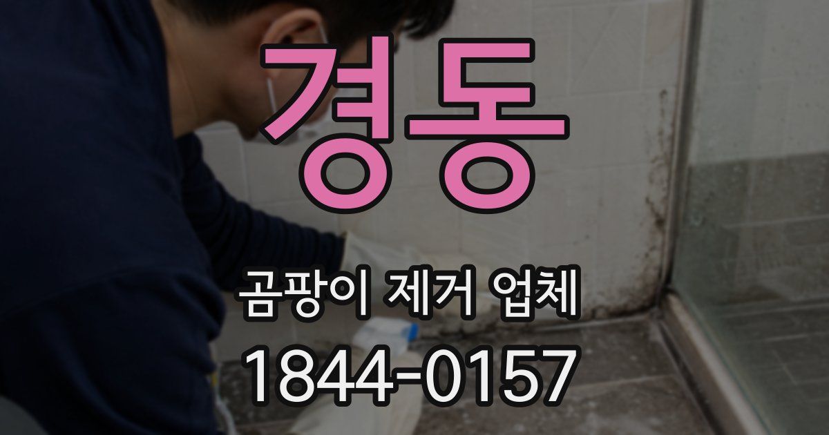 경동 곰팡이 제거 업체