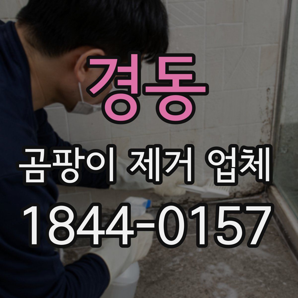 경동 곰팡이 제거 업체