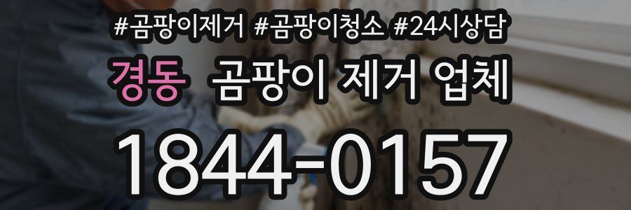 경동 곰팡이 제거 업체