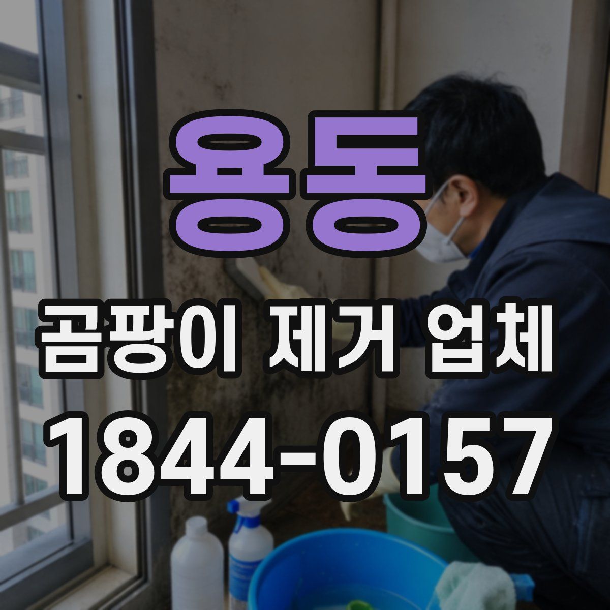 용동 곰팡이 제거 업체