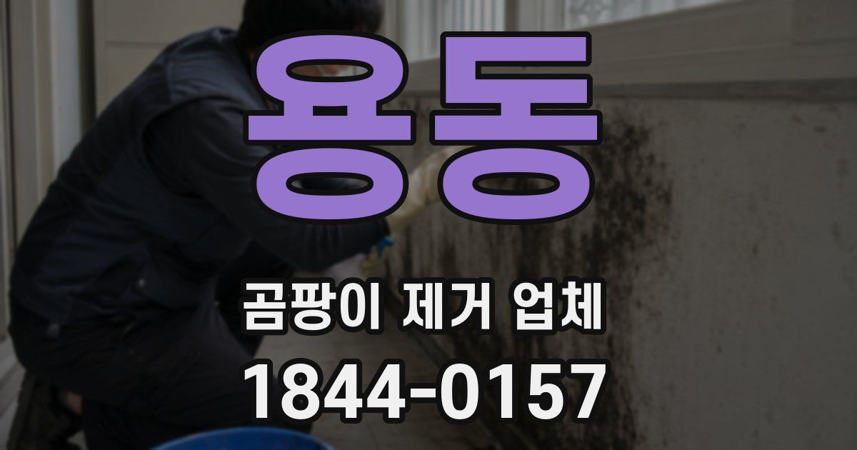 용동 곰팡이 제거 업체