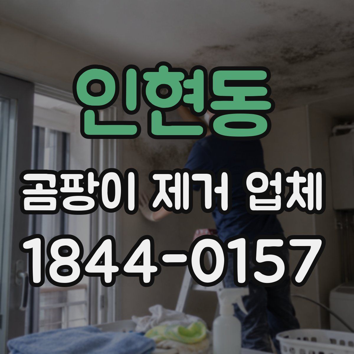 인현동 곰팡이 제거 업체