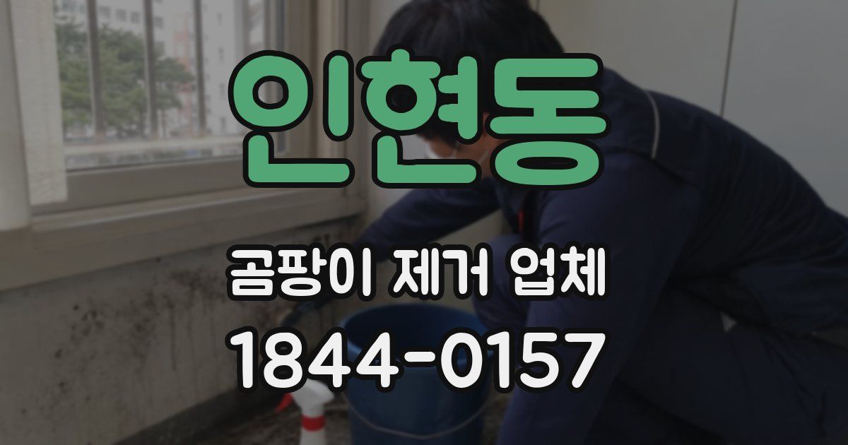 인현동 곰팡이 제거 업체