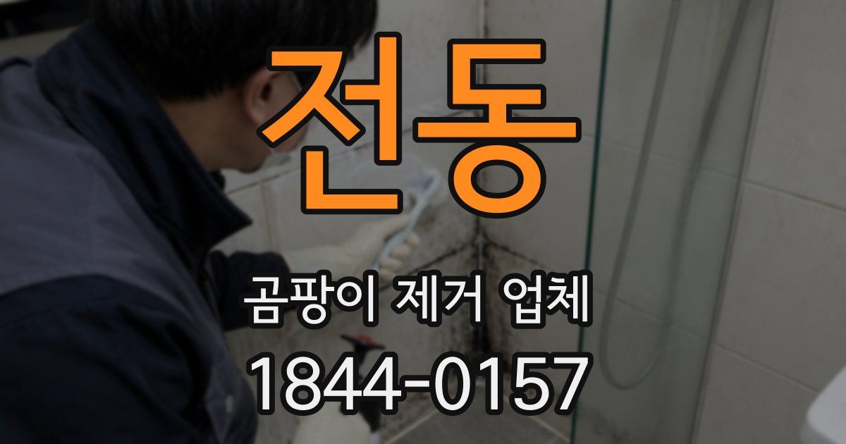 전동 곰팡이 제거 업체
