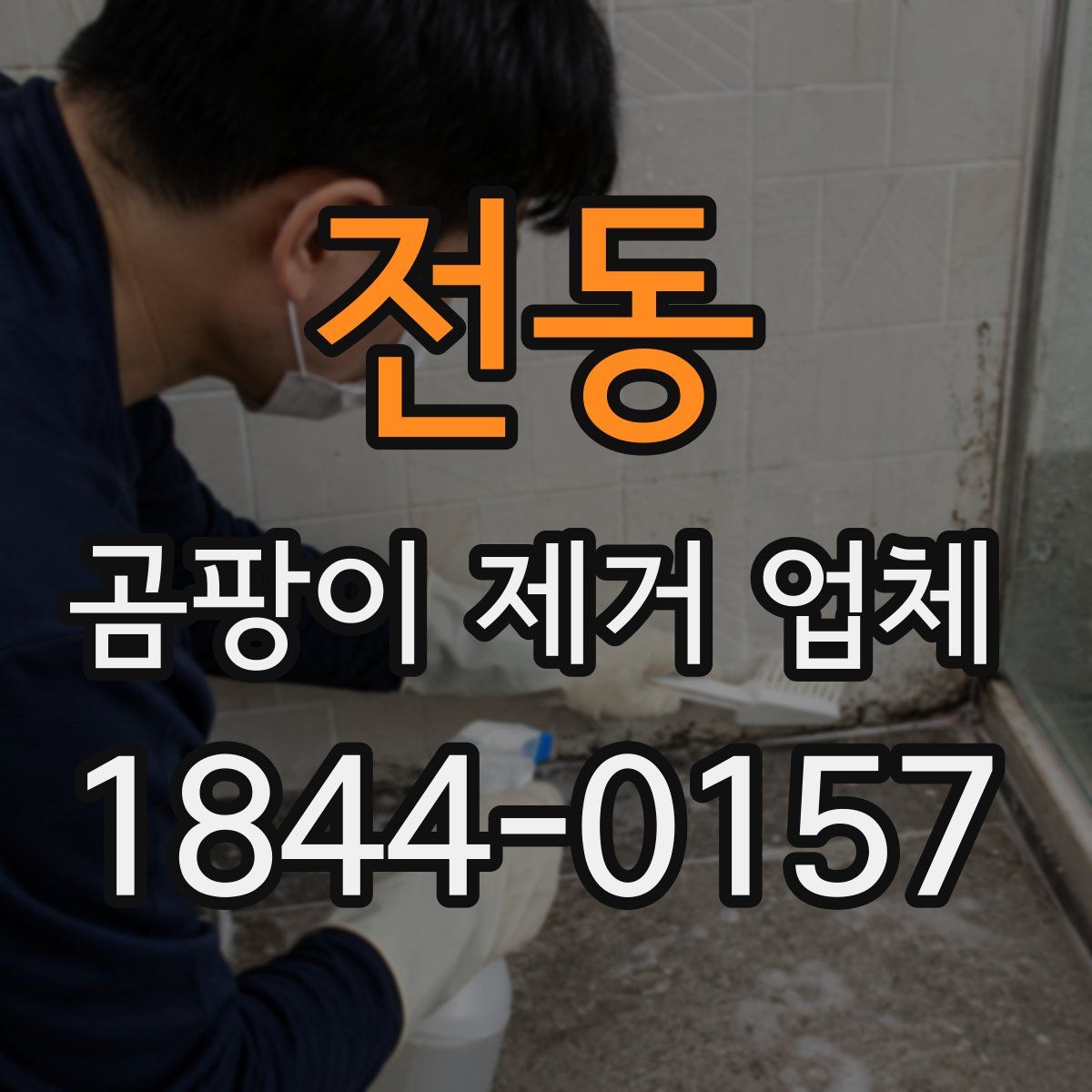 전동 곰팡이 제거 업체
