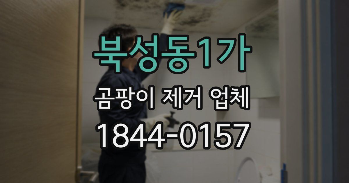 북성동1가 곰팡이 제거 업체