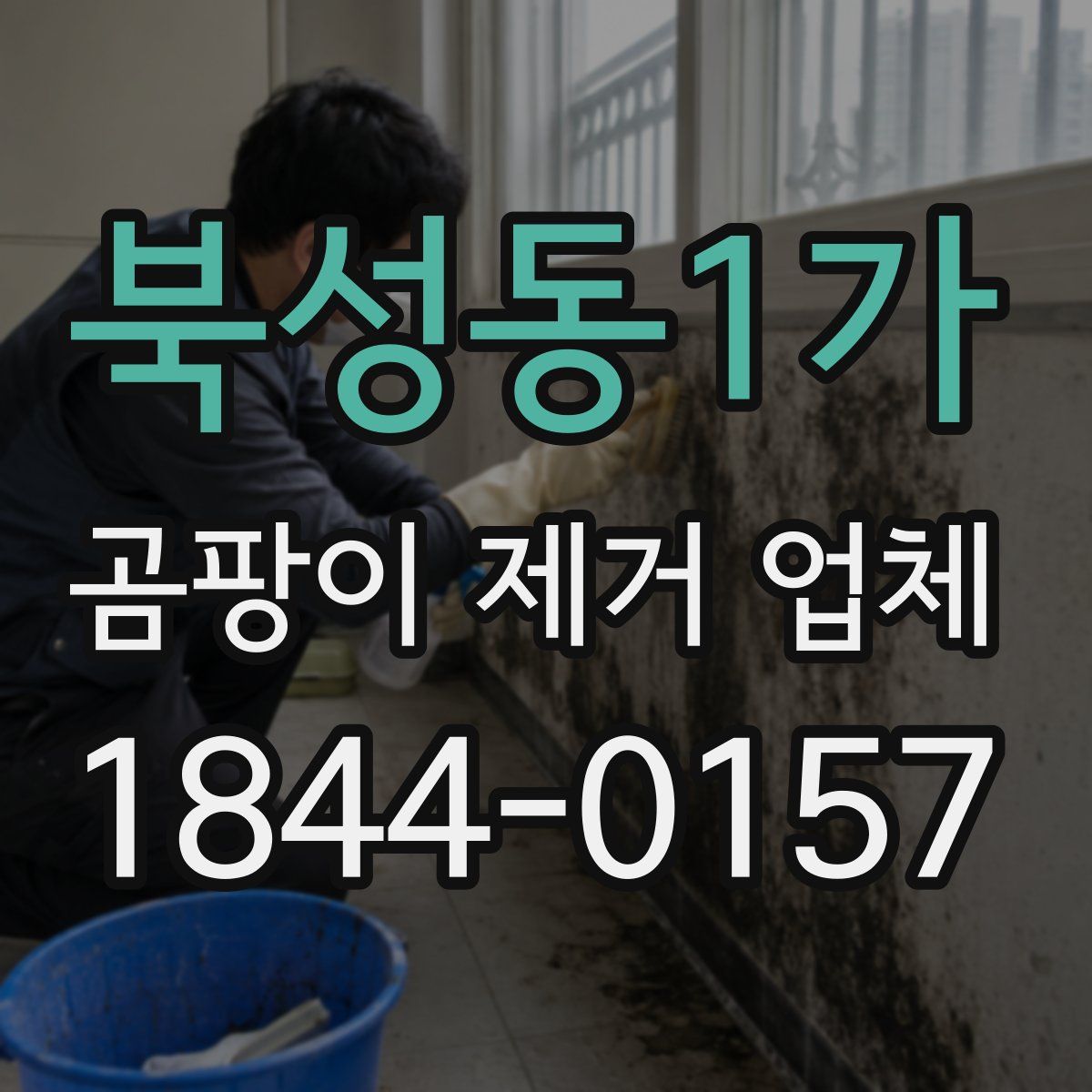 북성동1가 곰팡이 제거 업체