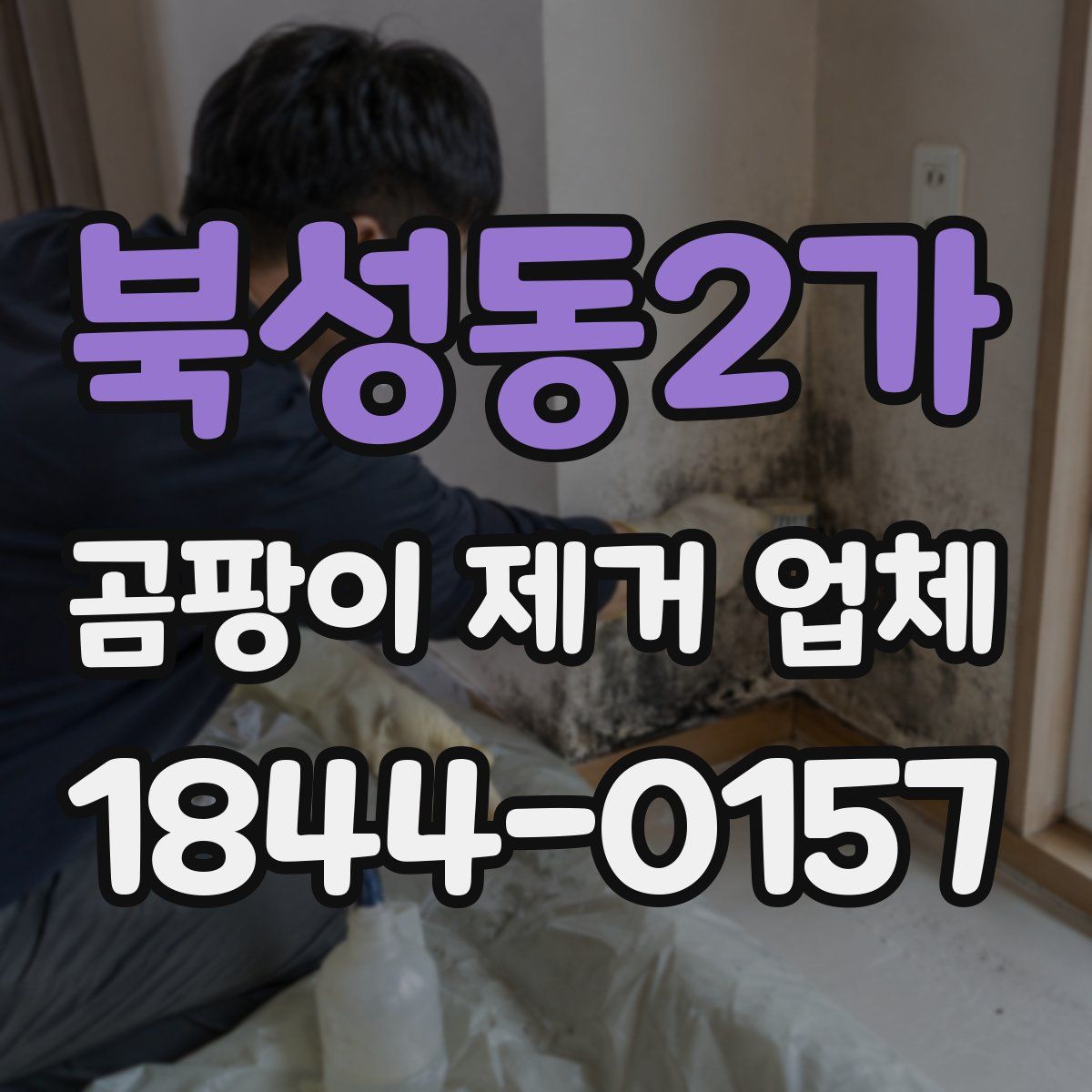 북성동2가 곰팡이 제거 업체