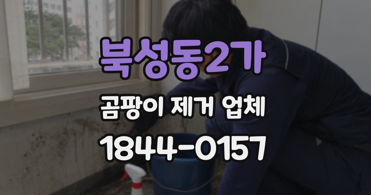북성동2가 곰팡이 제거 업체