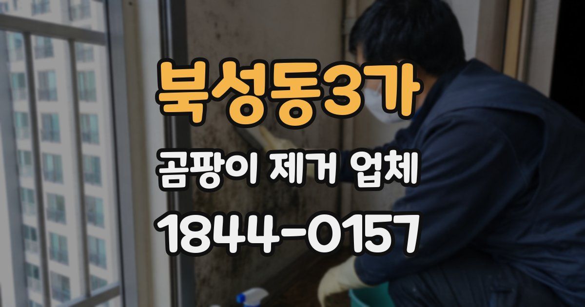 북성동3가 곰팡이 제거 업체
