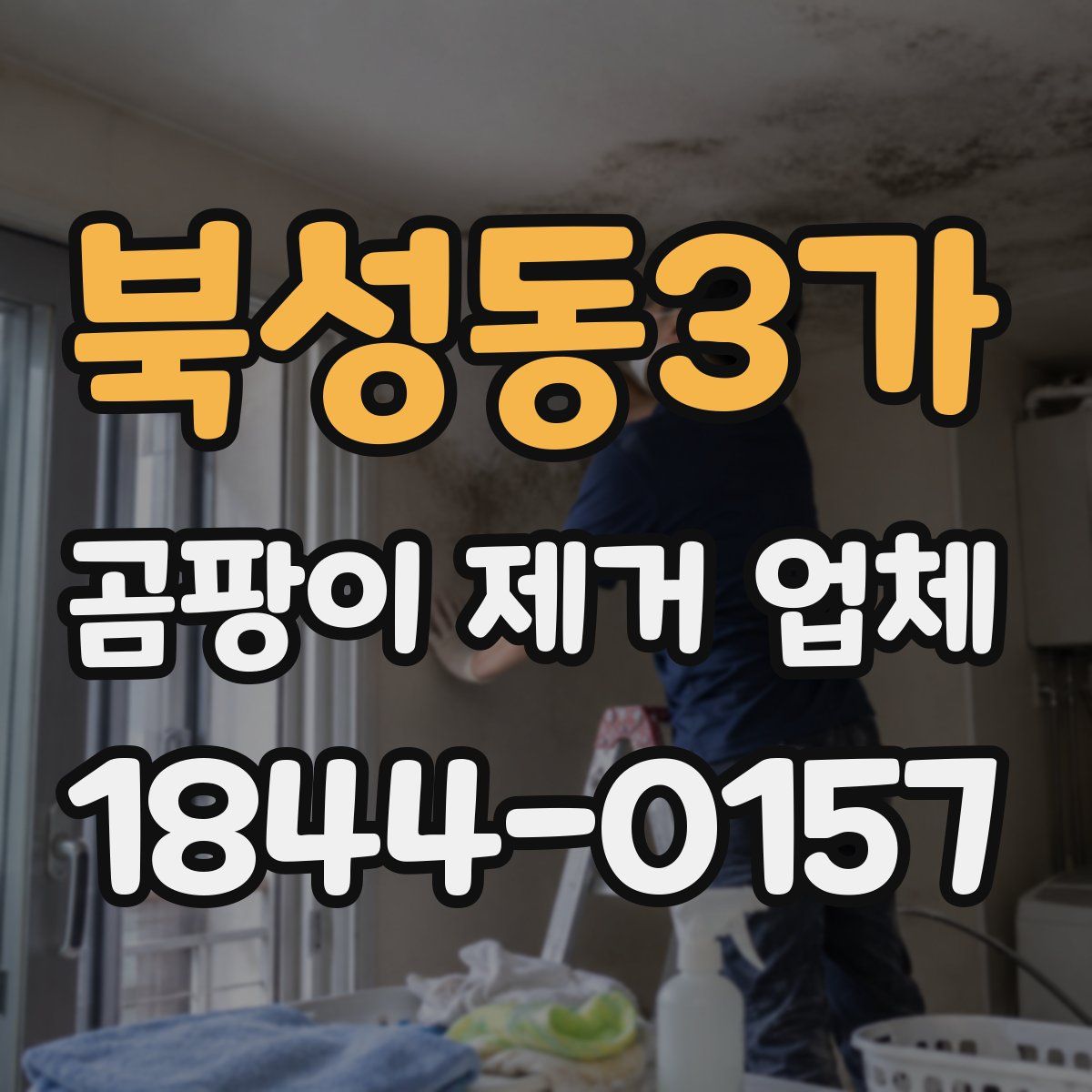 북성동3가 곰팡이 제거 업체