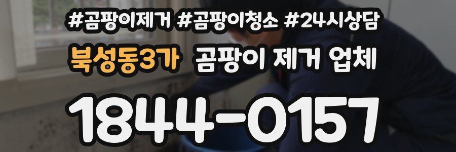 북성동3가 곰팡이 제거 업체