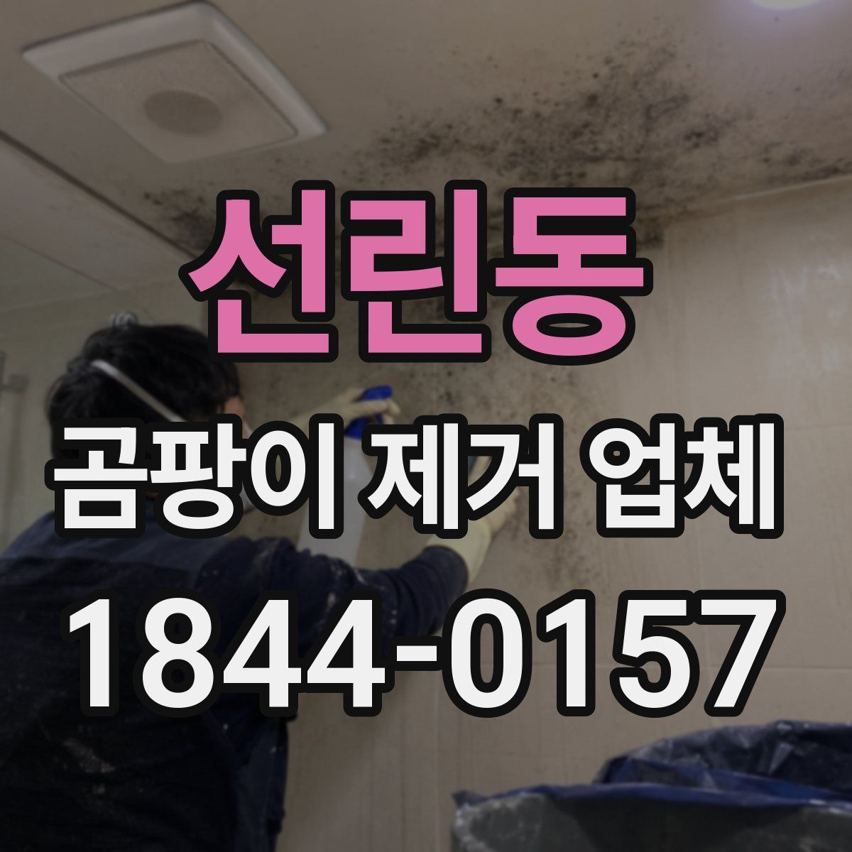 선린동 곰팡이 제거 업체