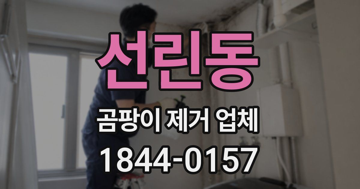 선린동 곰팡이 제거 업체