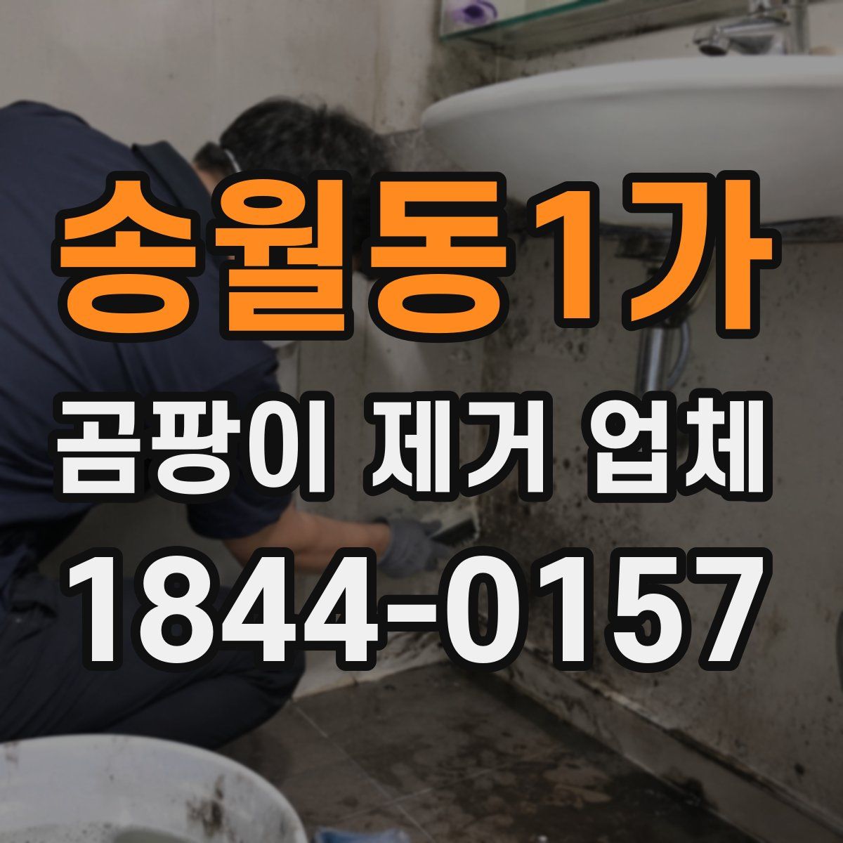 송월동1가 곰팡이 제거 업체