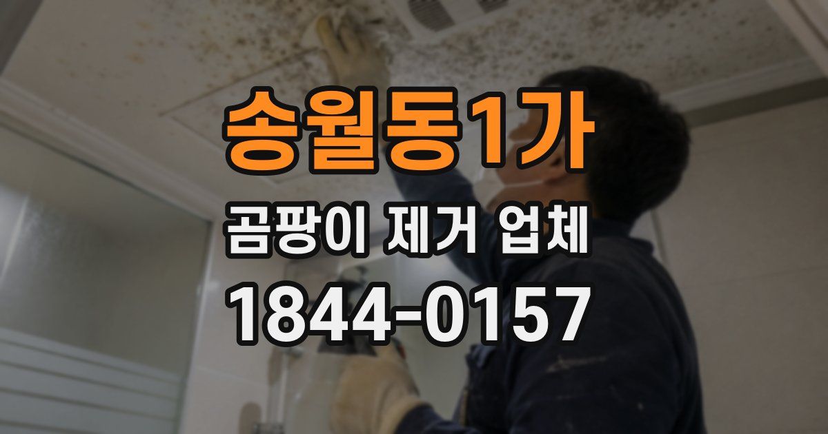 송월동1가 곰팡이 제거 업체