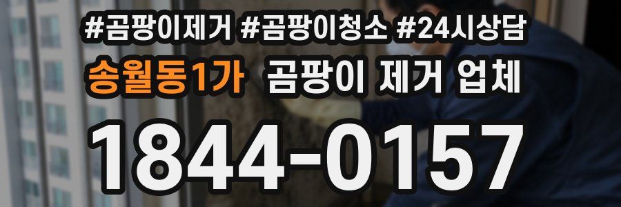송월동1가 곰팡이 제거 업체