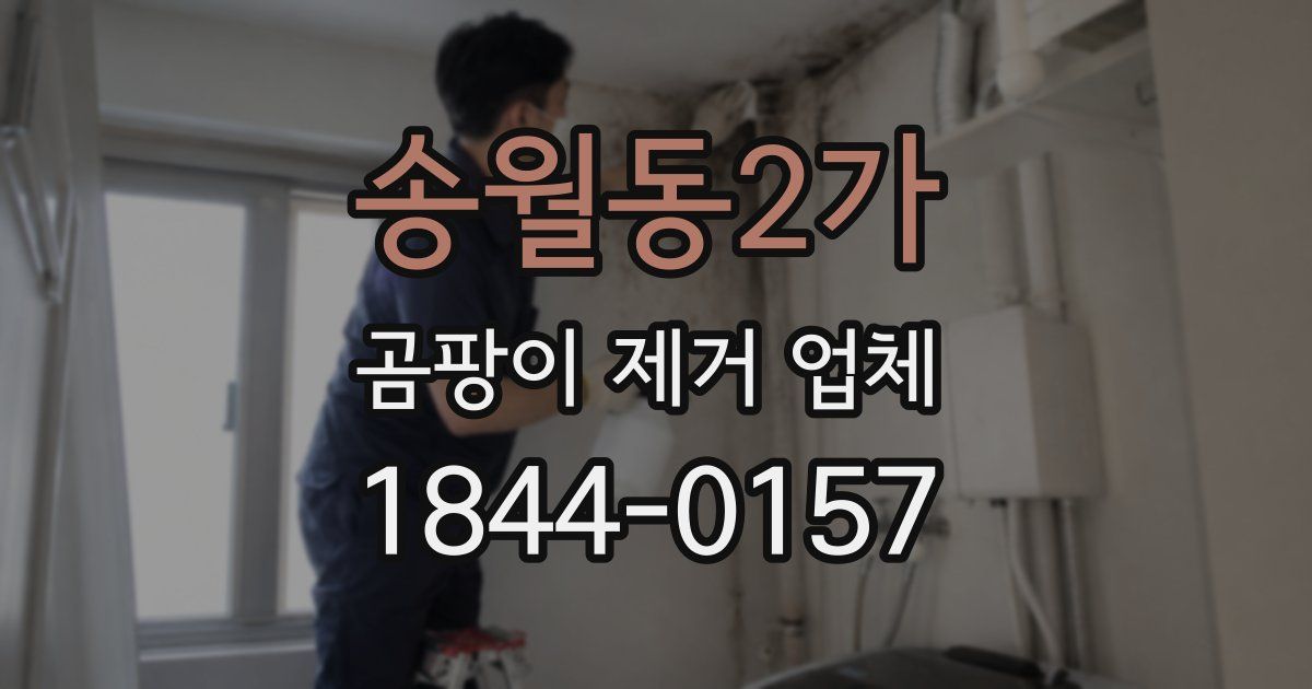 송월동2가 곰팡이 제거 업체