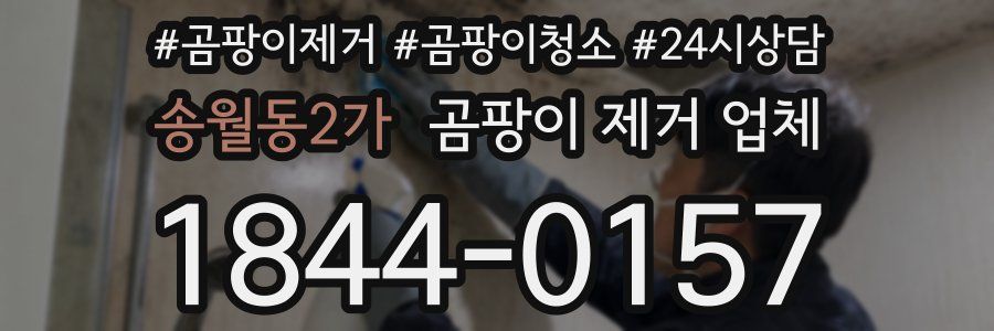 송월동2가 곰팡이 제거 업체