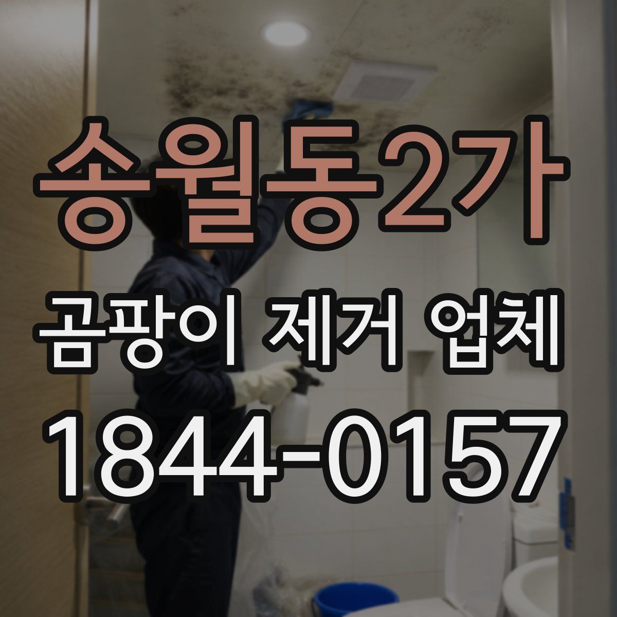 송월동2가 곰팡이 제거 업체