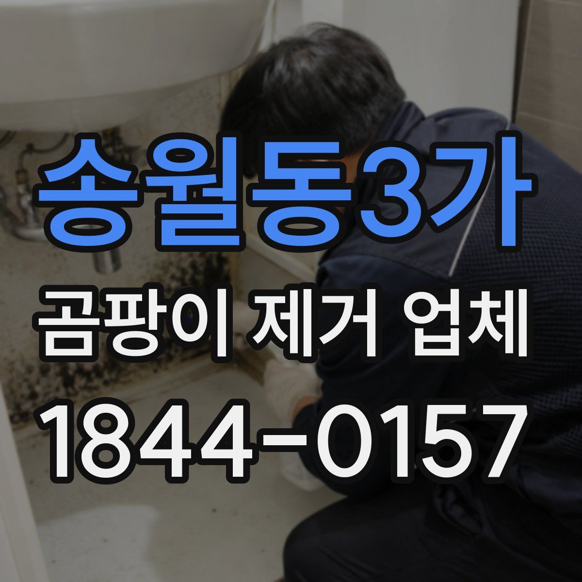 송월동3가 곰팡이 제거 업체
