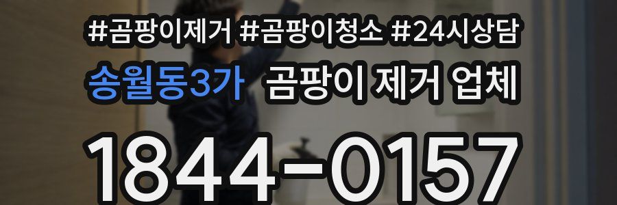송월동3가 곰팡이 제거 업체