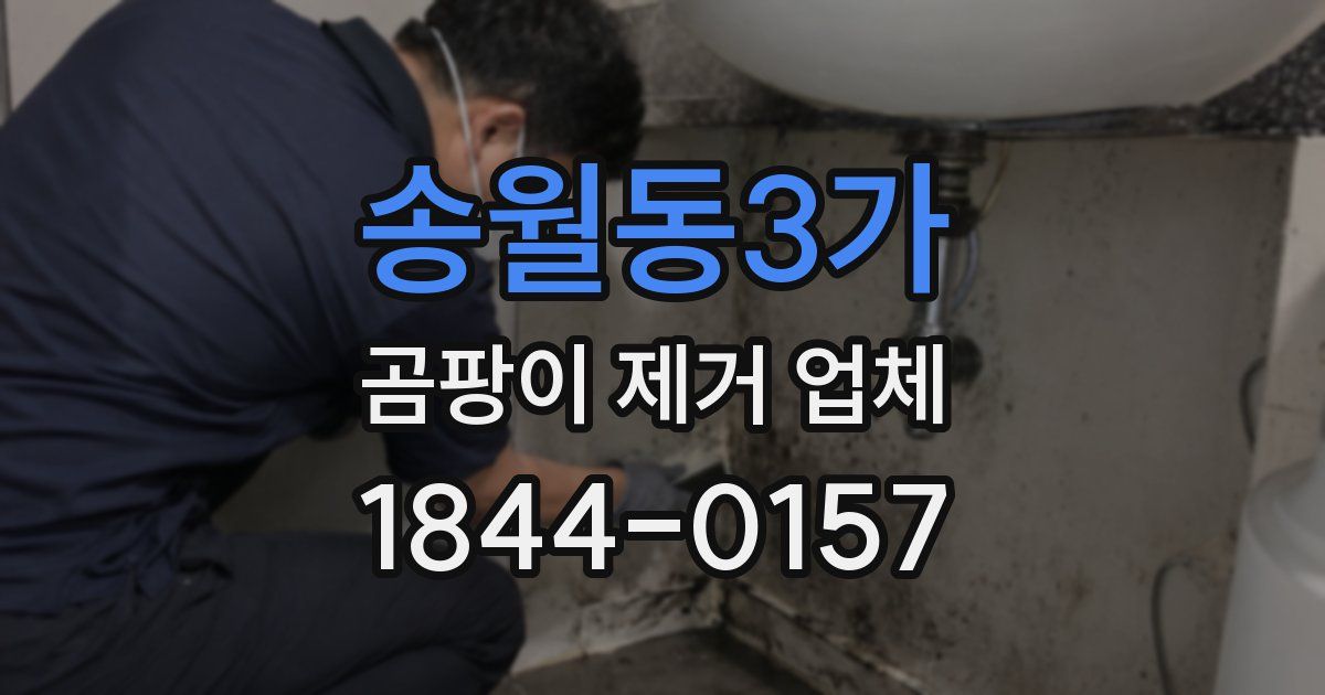 송월동3가 곰팡이 제거 업체