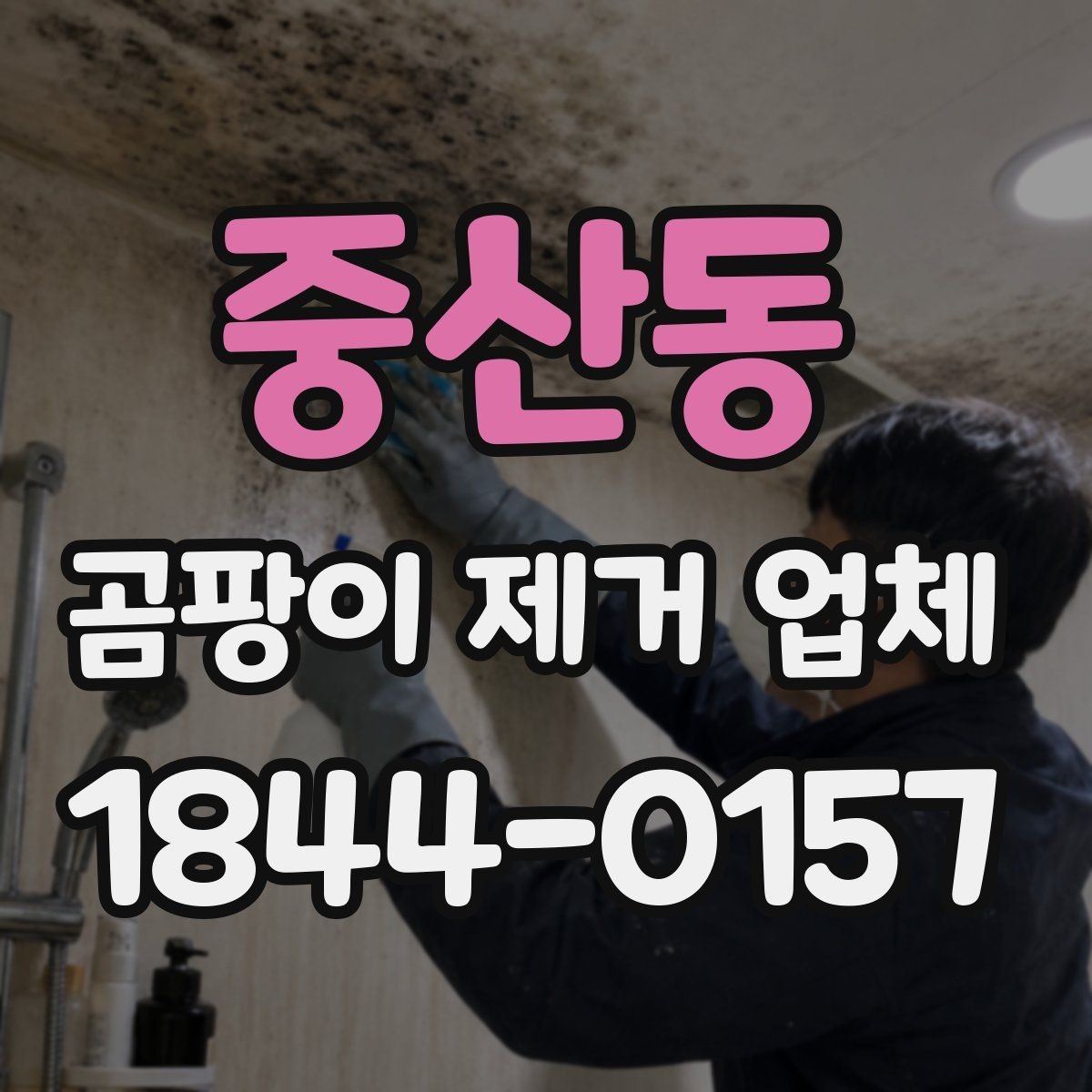 중산동 곰팡이 제거 업체 제거 뒤 도장과 마감까지 이어지는 공정