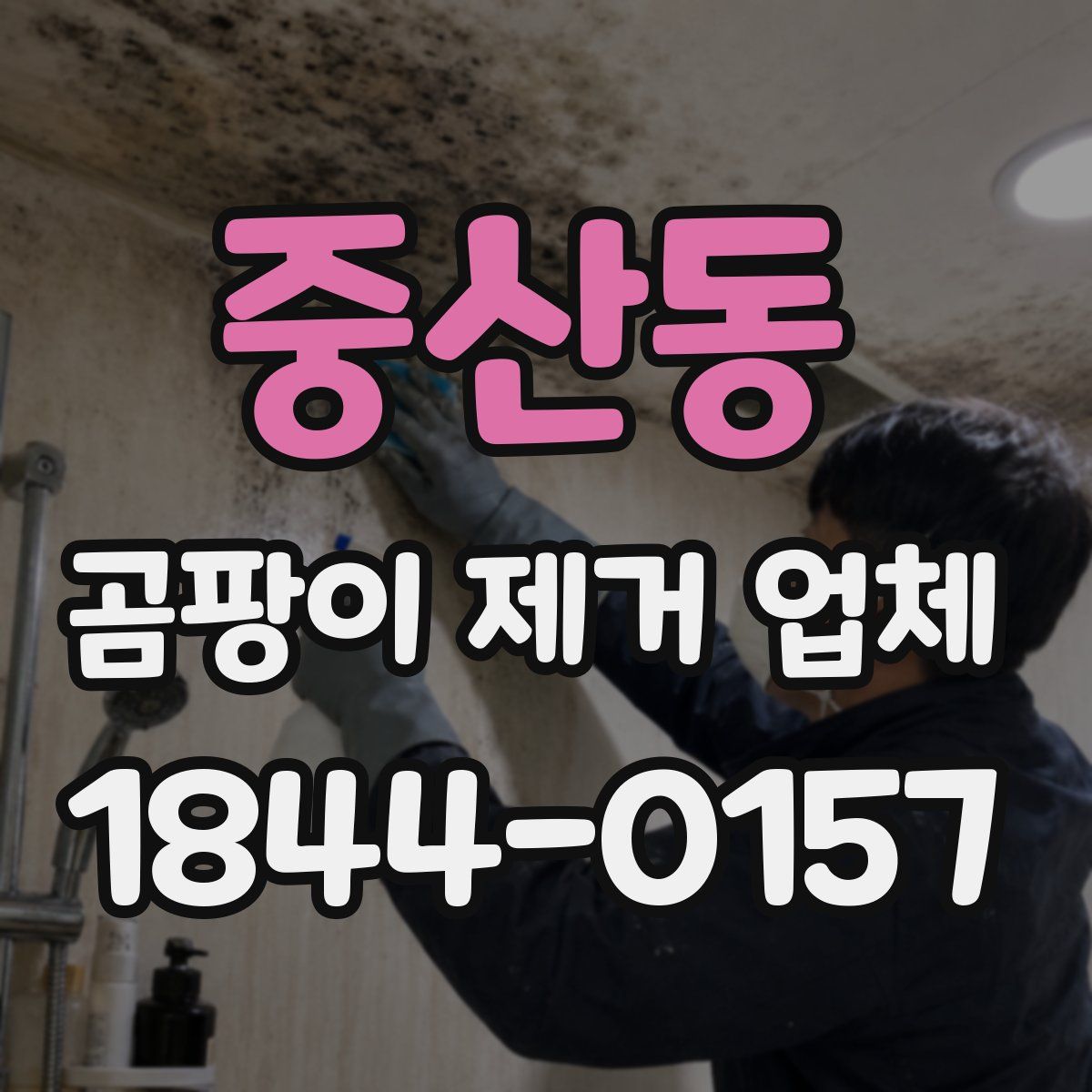 중산동 곰팡이 제거 업체
