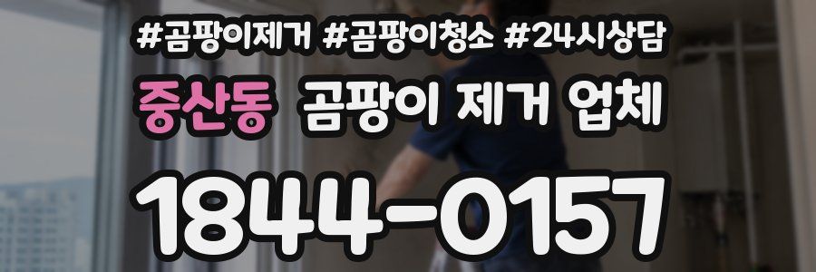 중산동 곰팡이 제거 업체