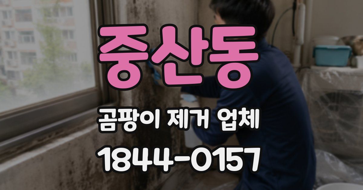 중산동 곰팡이 제거 업체