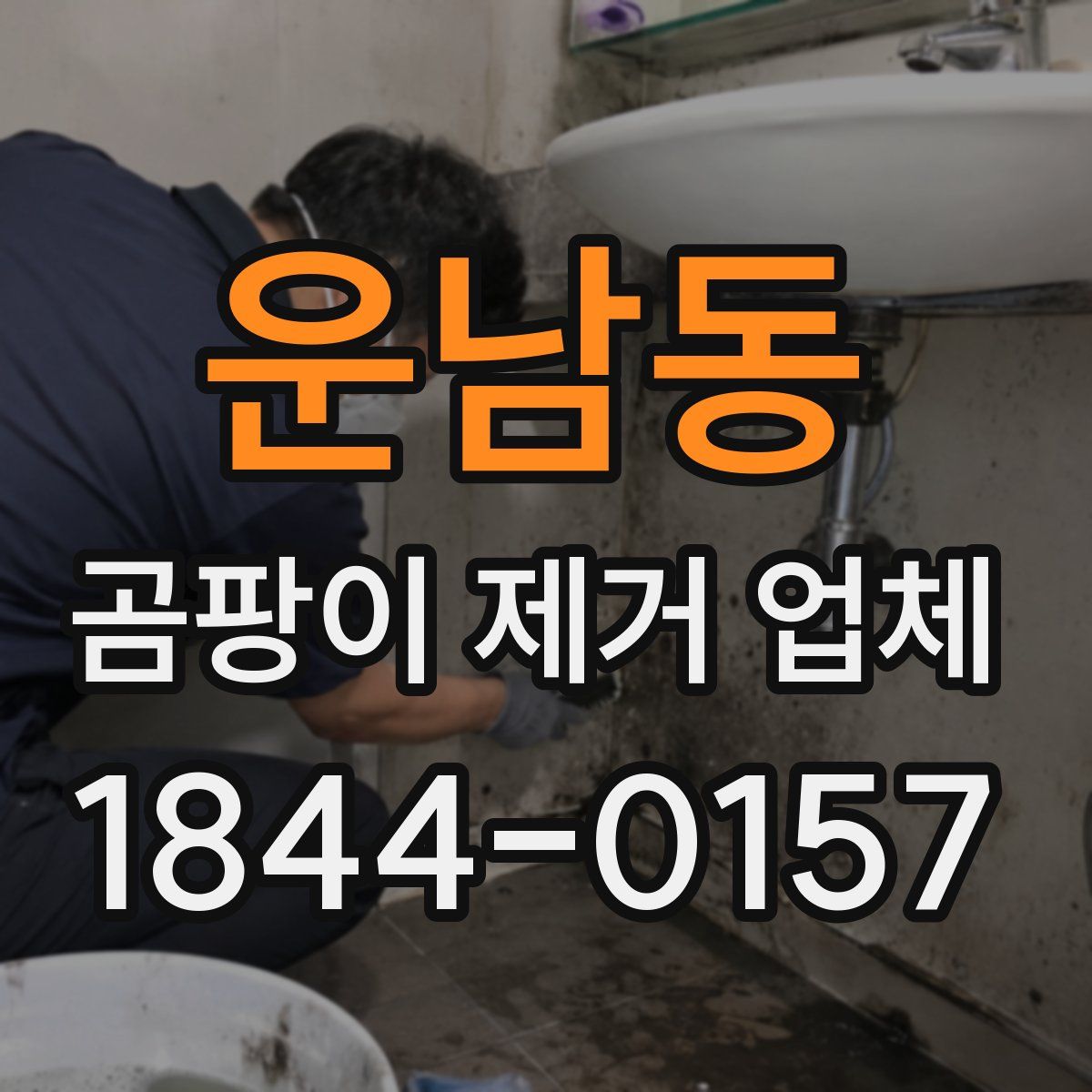 운남동 곰팡이 제거 업체