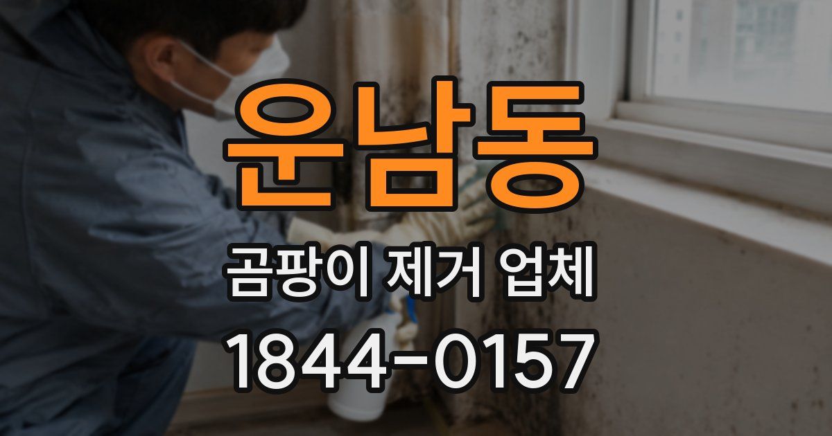 운남동 곰팡이 제거 업체