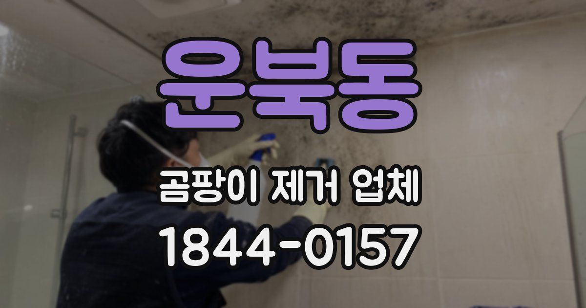 운북동 곰팡이 제거 업체