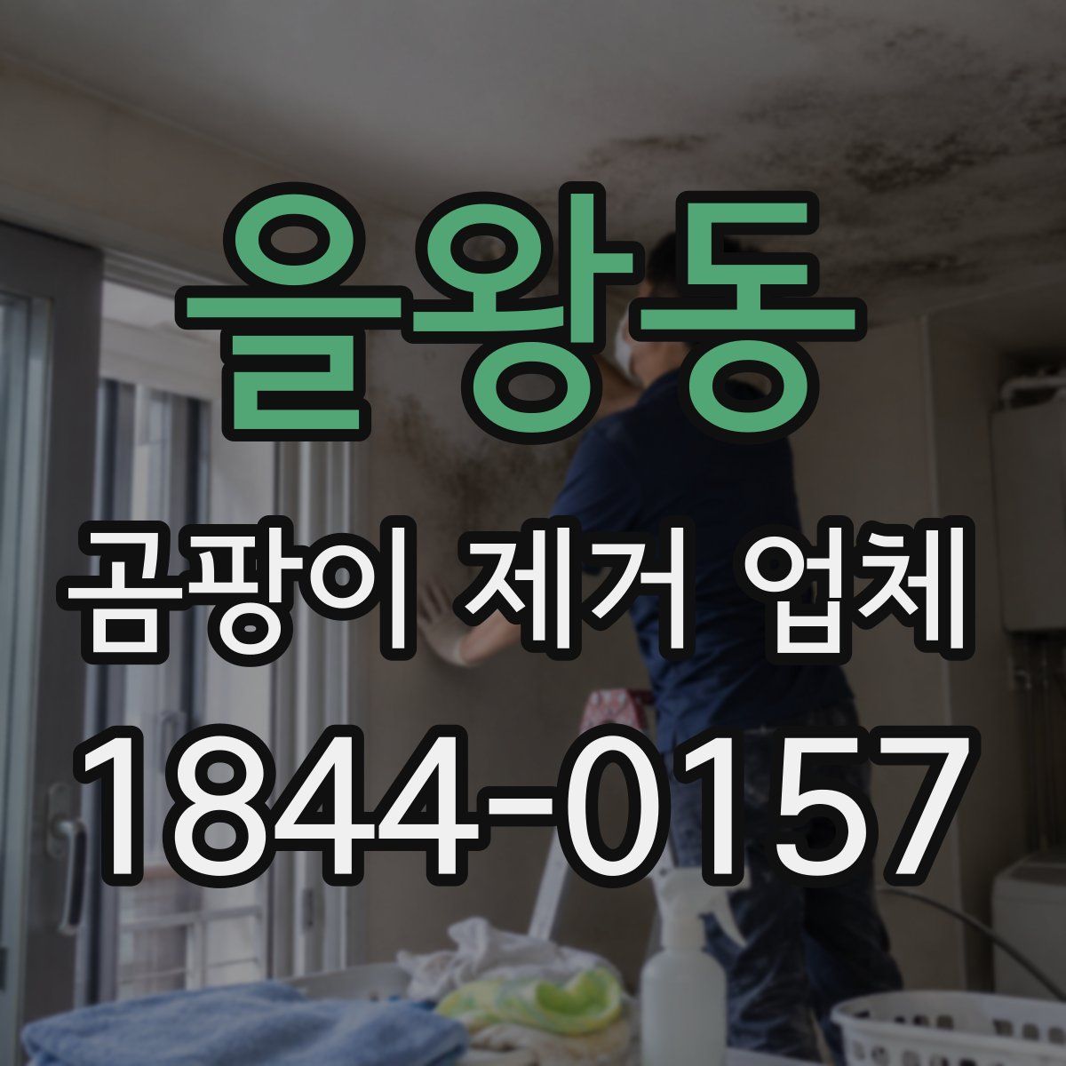 을왕동 곰팡이 제거 업체