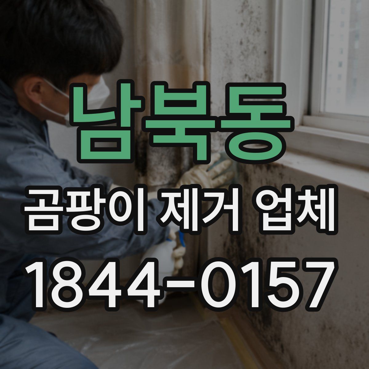 남북동 곰팡이 제거 업체