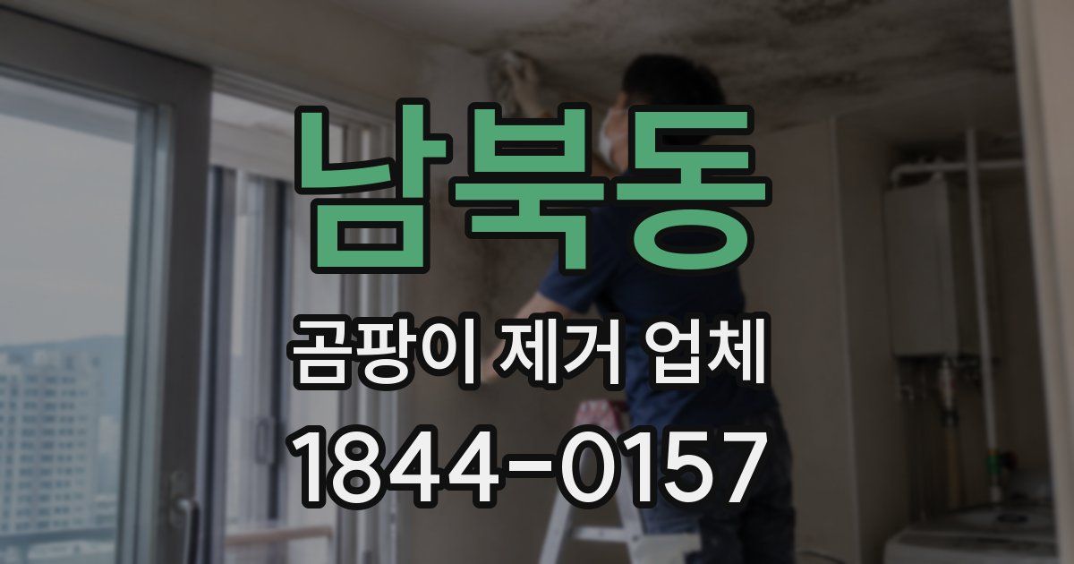 남북동 곰팡이 제거 업체