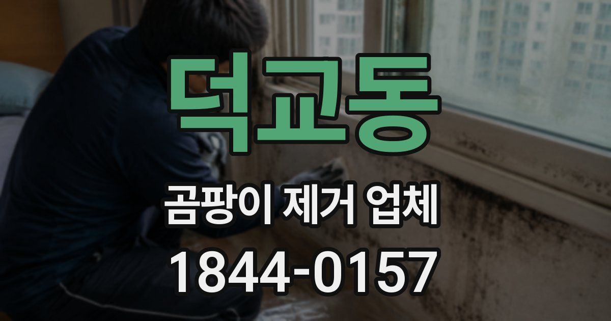 덕교동 곰팡이 제거 업체