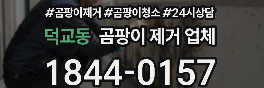 덕교동 곰팡이 제거 업체