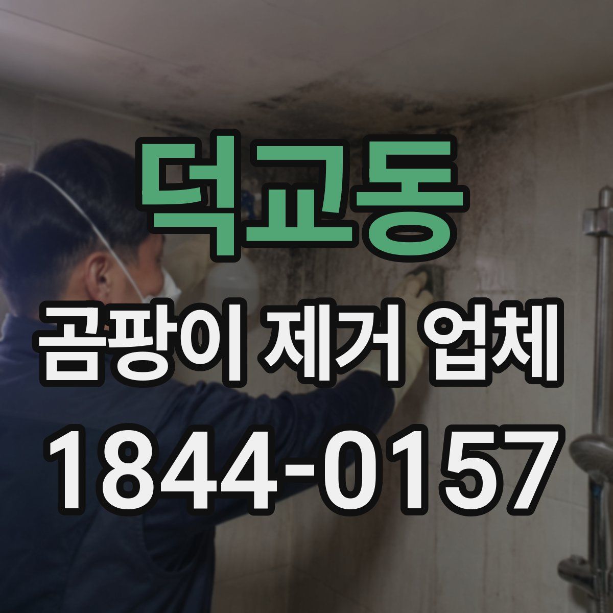 덕교동 곰팡이 제거 업체