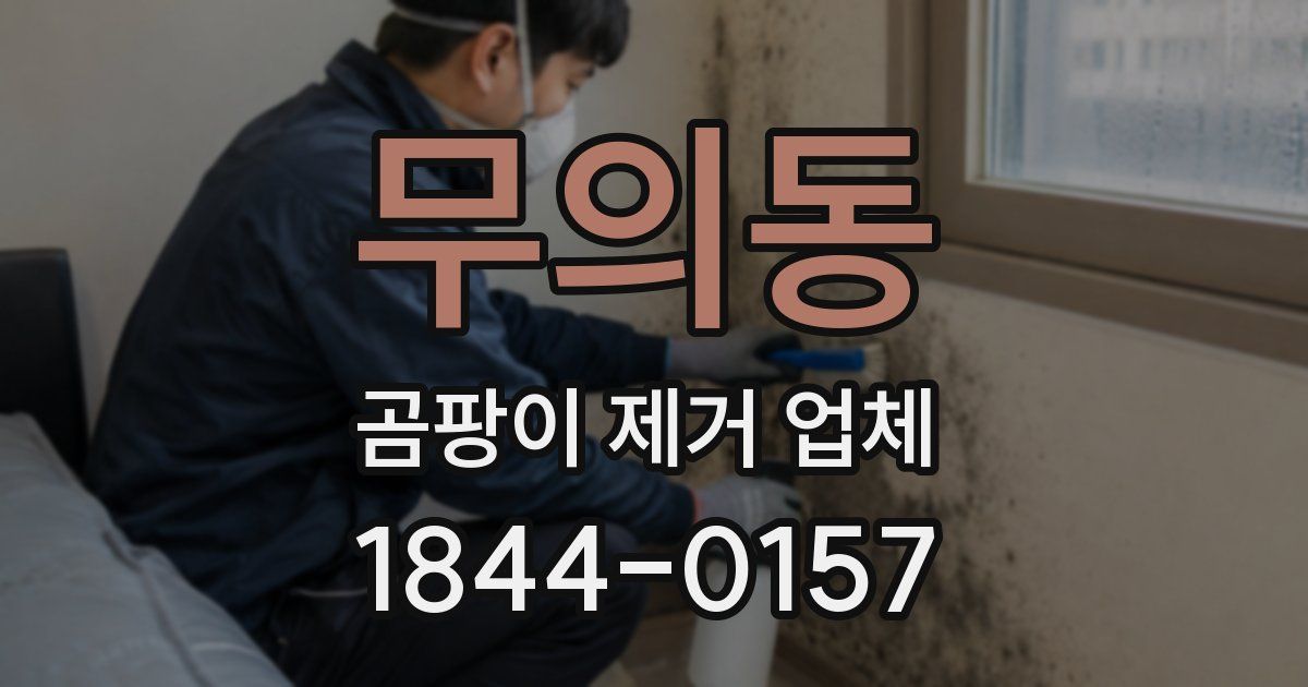 무의동 곰팡이 제거 업체