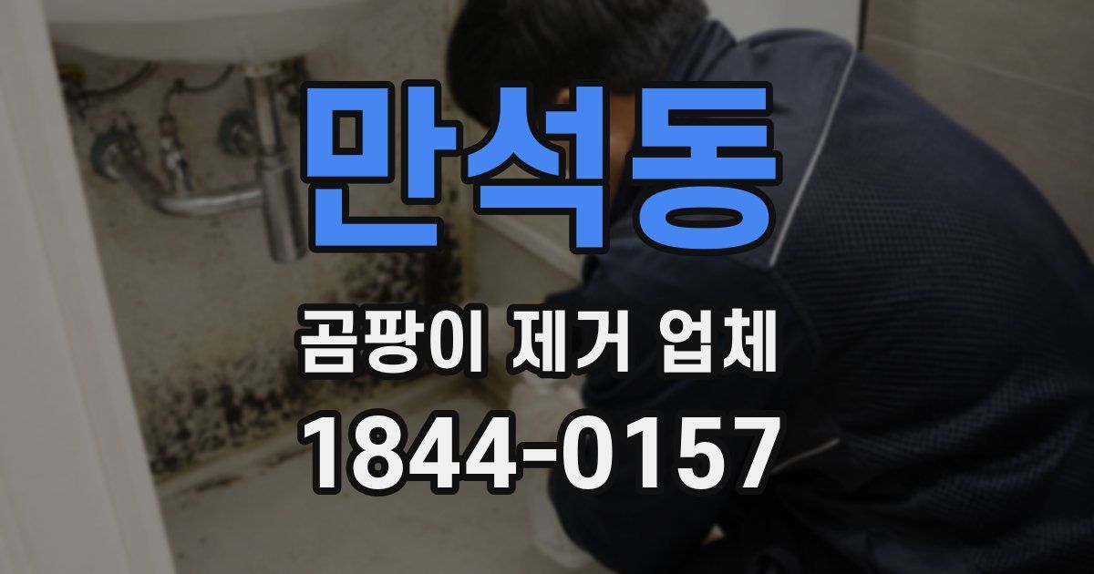 만석동 곰팡이 제거 업체
