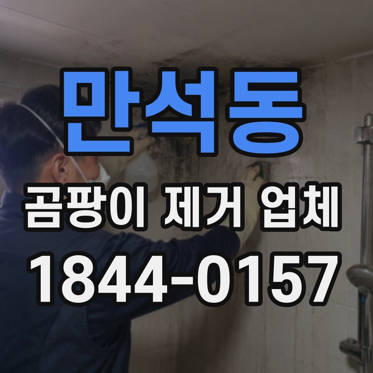 만석동 곰팡이 제거 업체